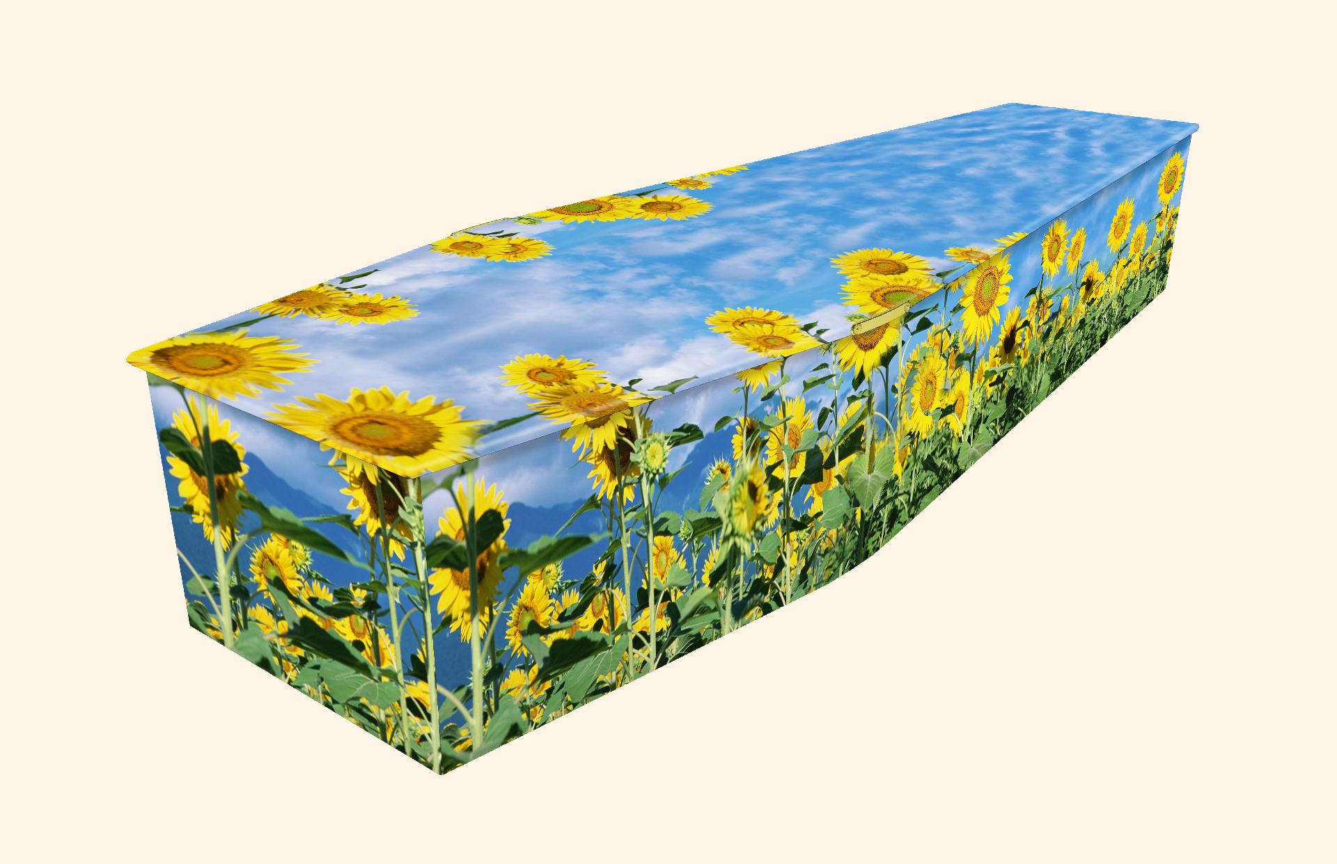 Floral Picture Coffins Personal Picture Coffins from Colourful Coffins Â® Tel 01865 779172